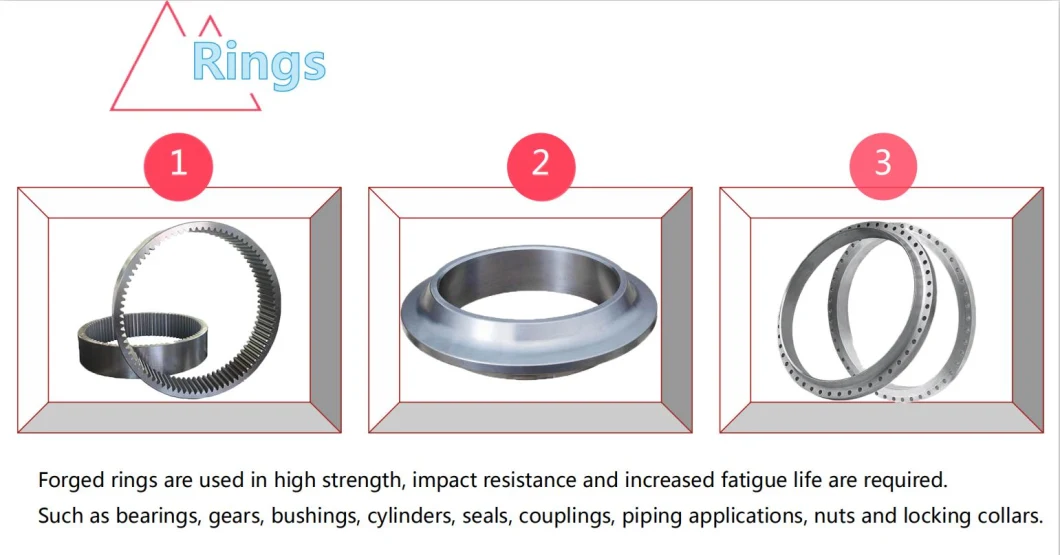 Hot Forging Steel Orifice Flange