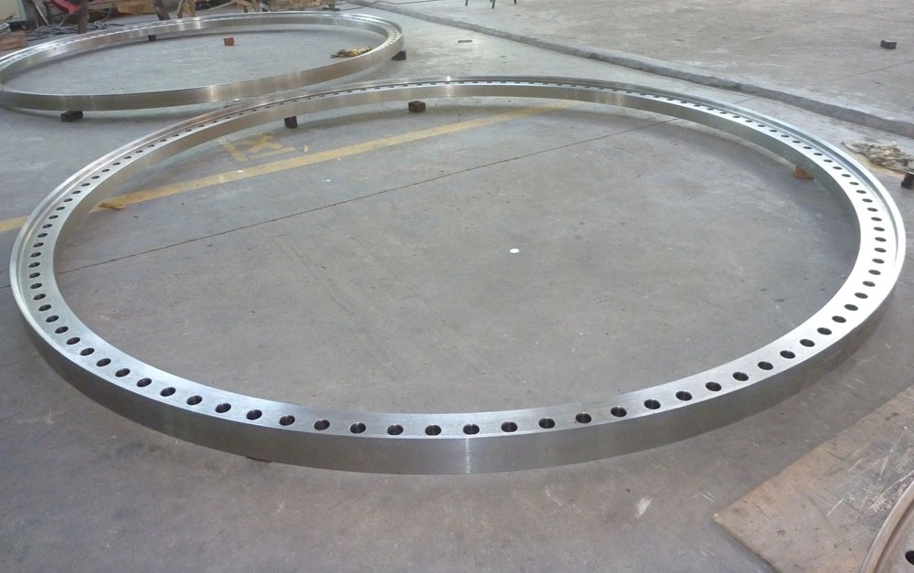 Professional Flange Manufacturer/Reducing Flange for 20 Years