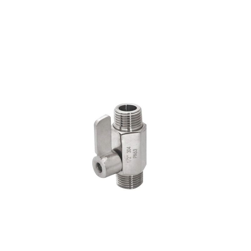 Water Fittings Mini Ball Valve Double Male Thread with Stainless Steel Handle