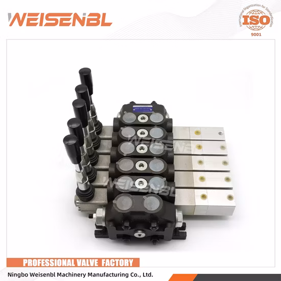 Valvola di controllo direzionale monoblocco per componenti idraulici serie DCV60 a 5 bobine per trattore