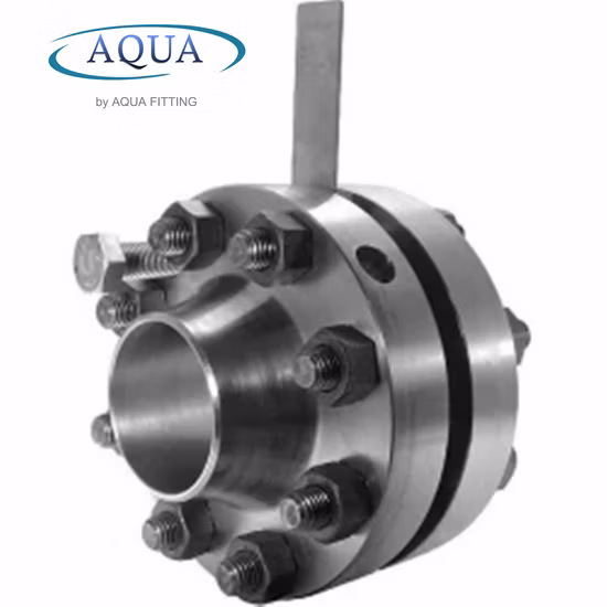 Flangia dell'orifizio HF in acciaio al carbonio forgiato ANSI B16.5 Classe 150-2000