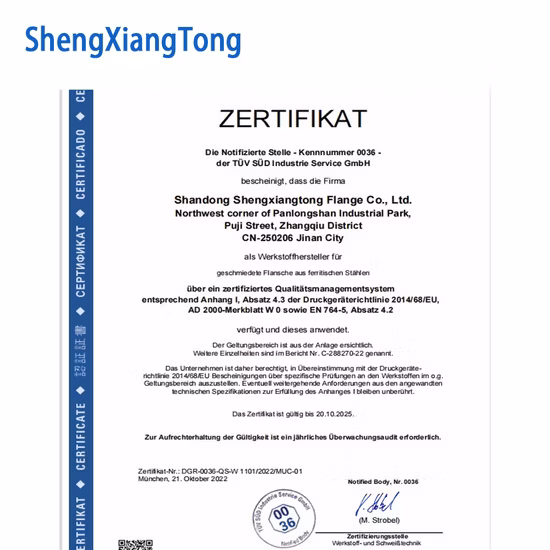ANSI B16.5/ASTM A105 DIN/GOST/BS Acciaio al carbonio/Q235/Acciaio inossidabile FF RF Wn/So/Filetto/Piastra/Presa Flangia forgiata Produzione cinese